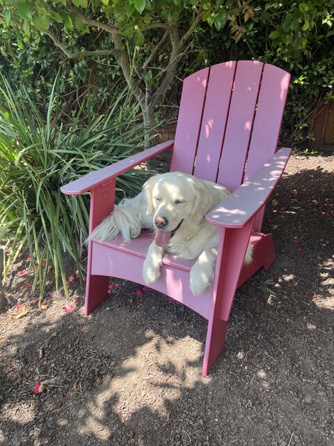chillin' [almost 2 years old]
