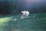Sydney_2023_06_19_002.jpeg