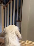 Sydney_2023_08_15_002.jpeg