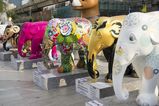 Thailand_2015_12_03_121.jpg