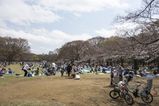 Tokyo_2016_03_27_030.jpg