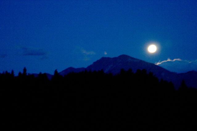 NZ_2004_12_26_037.jpg