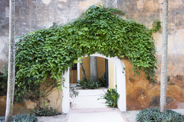 Hacienda_Petac_2017_12_30_036.jpg