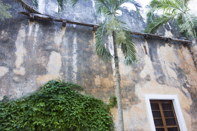 Hacienda_Petac_2017_12_30_037.jpg