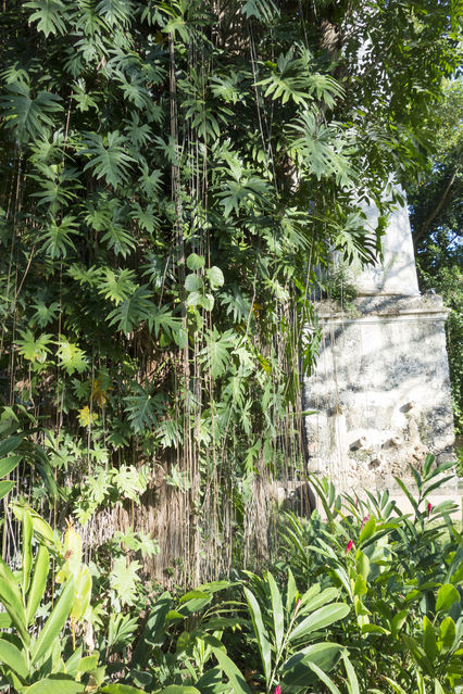 Hacienda_Petac_2017_12_30_041.jpg
