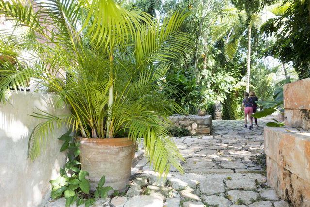 Hacienda_Petac_2018_01_03_007.jpg