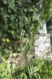 Filename=Hacienda_Petac_2017_12_30_041.jpg
Filesize=15521KiB
Dimensions=1365x2047
Date added=Mar 04, 2018 Hacienda_Petac_2017_12_30_041.jpg