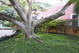 Filename=Hacienda_Petac_2017_12_30_061.jpg
Filesize=13896KiB
Dimensions=2047x1365
Date added=Mar 04, 2018 Hacienda_Petac_2017_12_30_061.jpg
