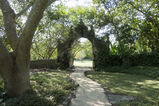 Filename=Hacienda_Petac_2018_01_03_003.jpg
Filesize=17784KiB
Dimensions=2047x1365
Date added=Mar 04, 2018 Hacienda_Petac_2018_01_03_003.jpg