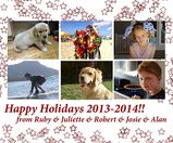 Gillan-Jacobsen_2013-14_holiday_greetings.jpg