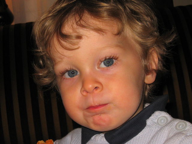 Harry_2004_05_08.JPG