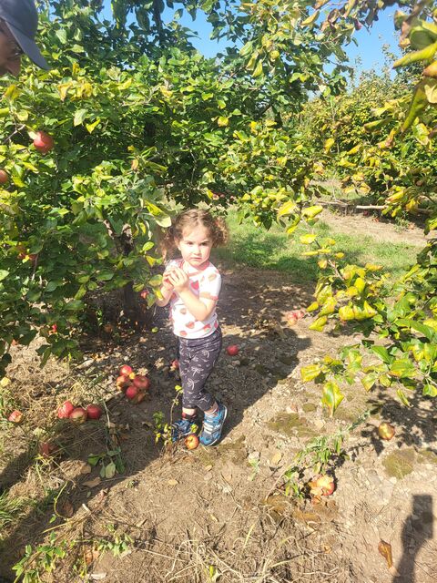 LilyRose!!
