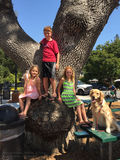 Filename=kidz_2016_08_11_001.jpg
Filesize=3182KiB
Dimensions=1536x2048
Date added=Nov 10, 2016 kidz_2016_08_11_001.jpg