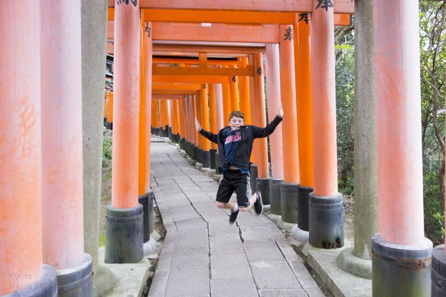 Fujishimi Inari Taisha (Kyoto)
