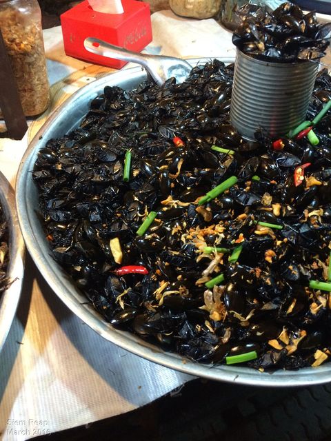 fine dining in Siem Reap (crickets)
