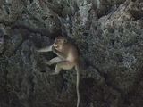 Filename=Phuket_2016_03_20_037.jpg
Filesize=2009KiB
Dimensions=2048x1536
Date added=Nov 10, 2016 Phuket_2016_03_20_037.jpg