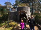 Filename=Tokyo_2016_03_25_092.jpg
Filesize=4889KiB
Dimensions=2048x1536
Date added=Nov 10, 2016 Tokyo_2016_03_25_092.jpg