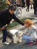 Filename=Tokyo_2016_03_27_062.jpg
Filesize=2963KiB
Dimensions=1536x2048
Date added=Nov 10, 2016 Tokyo_2016_03_27_062.jpg